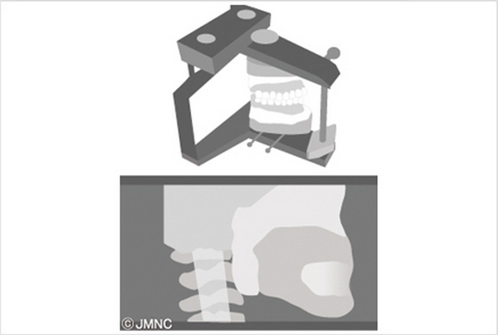 和泉市はつが野・さかぐち歯科医院